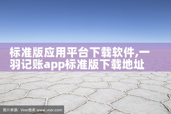 标准版应用平台下载软件