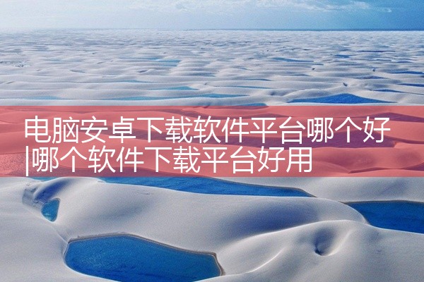 电脑安卓下载软件平台哪个好