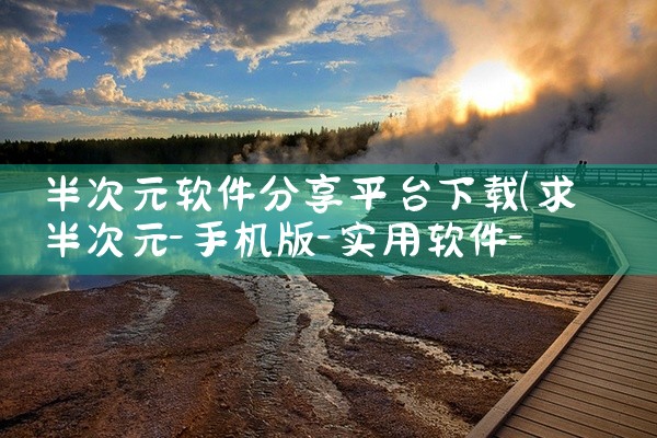 半次元软件分享平台下载