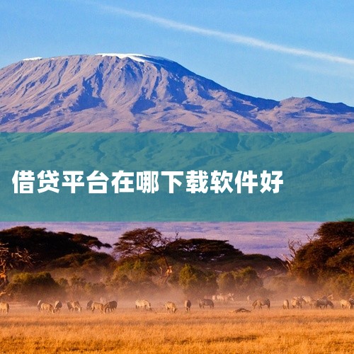 二、京东金条：基于京东的电商生态。对用户在京东平台的消费行为、信用状况等有全面的了解。借款额度根据用户资质合理设定，借款操作方便，资金到账及时。在风控方面有一定保障，能确保借贷过程的安全。三、度小满金,