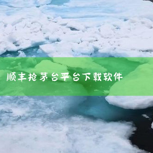 按时间分类的抢购平台9点30分：苏宁易购（APP）10点：小米有品、顺丰优选（小程序）、寺库11点：网易严选12点：京东（APP）17点：1919（APP）20点：天猫超市（天猫APP）、酒仙网（AP,