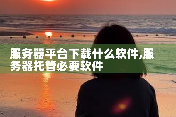 服务器平台下载什么软件