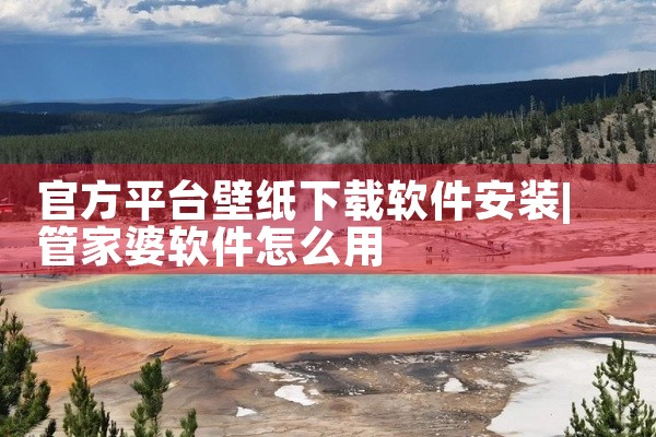 官方平台壁纸下载软件安装