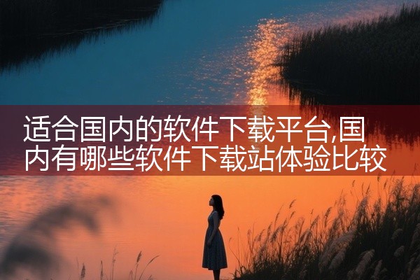 适合国内的软件下载平台