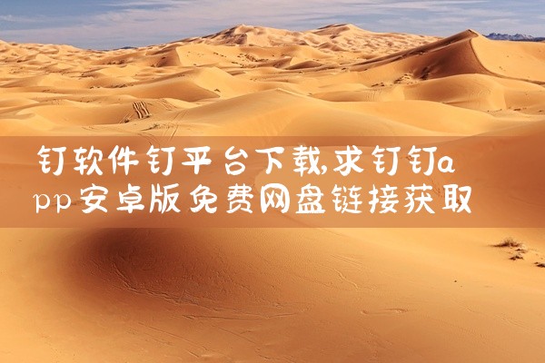 钉软件钉平台下载