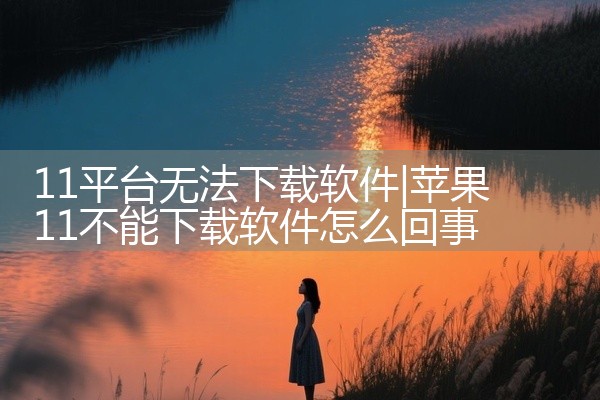 11平台无法下载软件