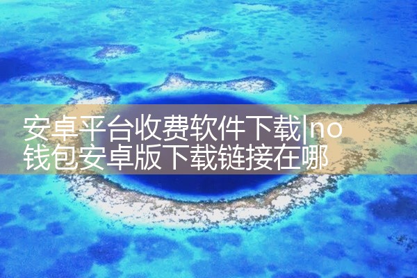 安卓平台收费软件下载