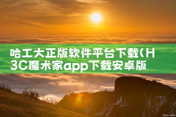 哈工大正版软件平台下载