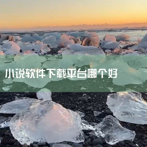 书海阁：市场领航者，作品库覆盖热门网文与经典出版物，AI推荐系统精准匹配阅读偏好，打造专属书单。阅界：以极致用户体验和优雅界面设计著称，提供高度自定义阅读设置（字体、背景、翻页模式），纯净无广告的沉浸|